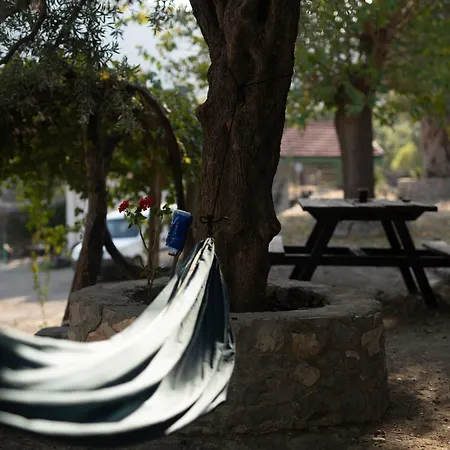 Alpehytte Togo Iztuzu Stonehouse-3