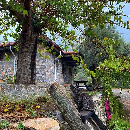 Togo Iztuzu Stonehouse-3 Bogazagzi