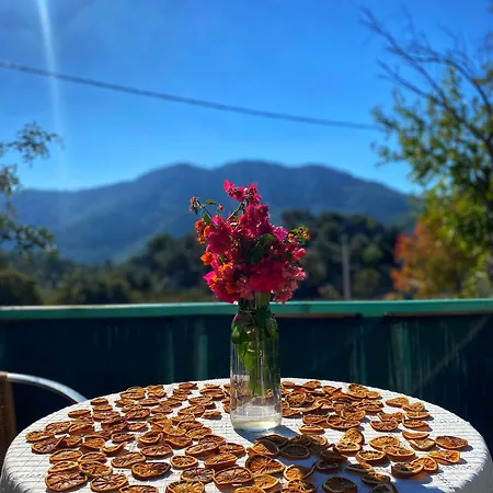 Togo Iztuzu Stonehouse-3 Bogazagzi