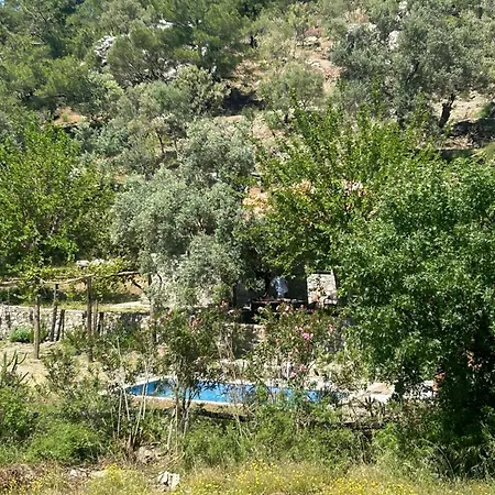 Togo Iztuzu Stonehouse-3 Chalet *