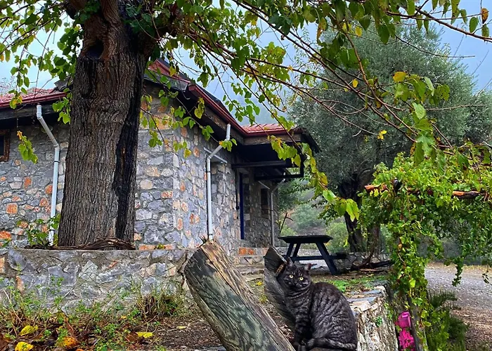 Togo Iztuzu Stonehouse-3 Bogazagzi